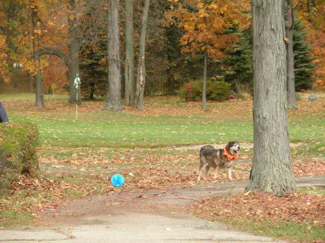 Maple Ridge Golf Course - photo 2
