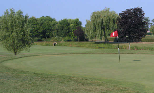 Pebble Creek Golf Club - photo 2