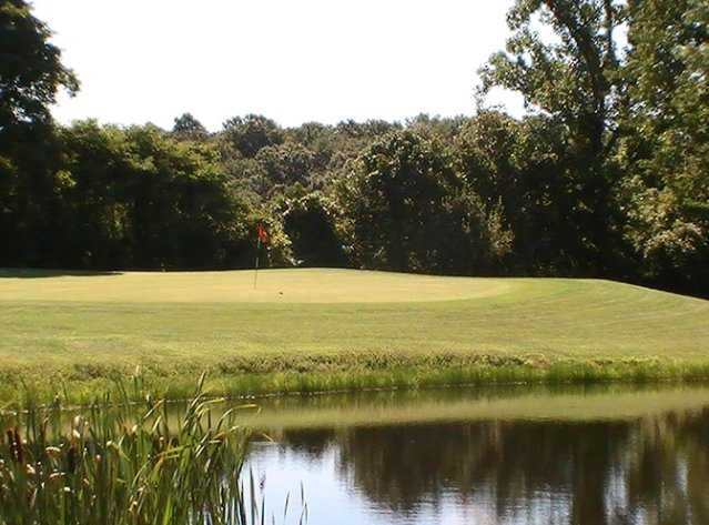 White Oak - photo 2
