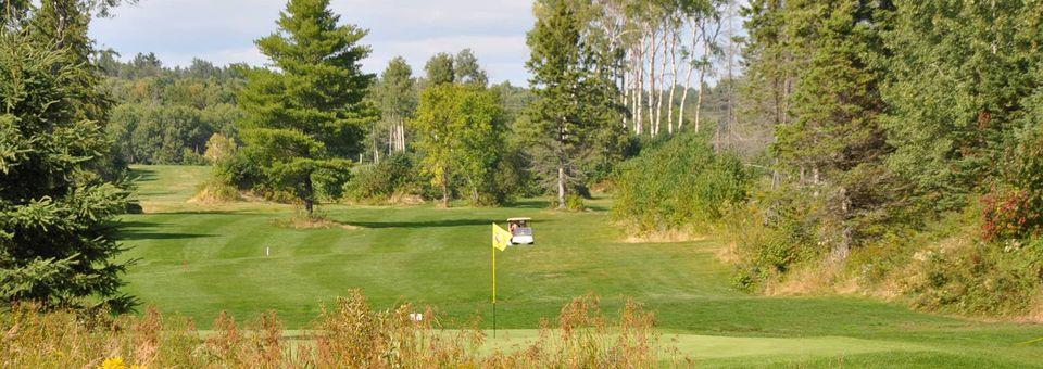 Silver Styx Golf Course - photo 4