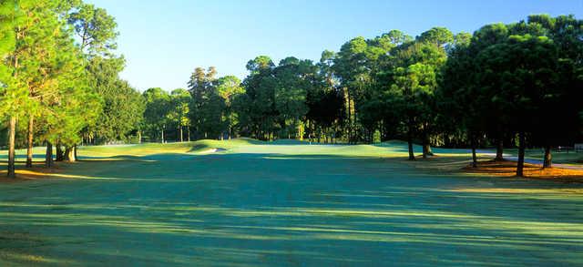 Lansbrook Golf Club - photo 3
