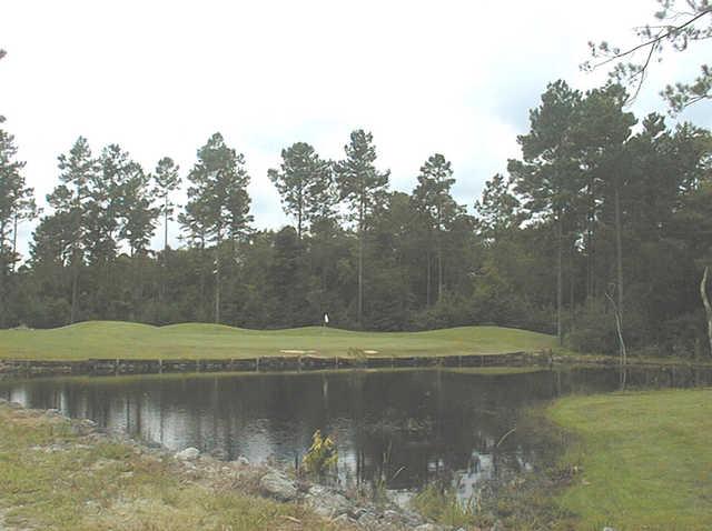 The Links At Plantation Harbor - photo 3