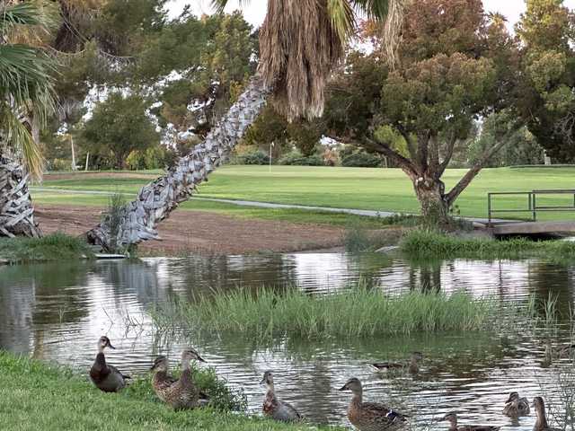 Palmbrook Golf Club - photo 6