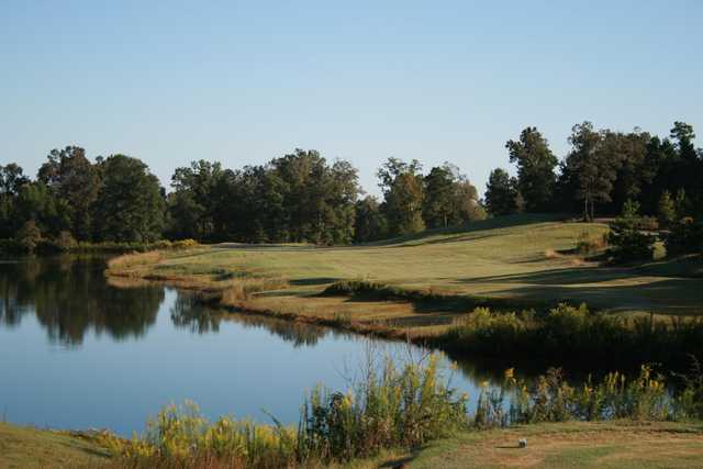 Turtle Pointe - photo 2