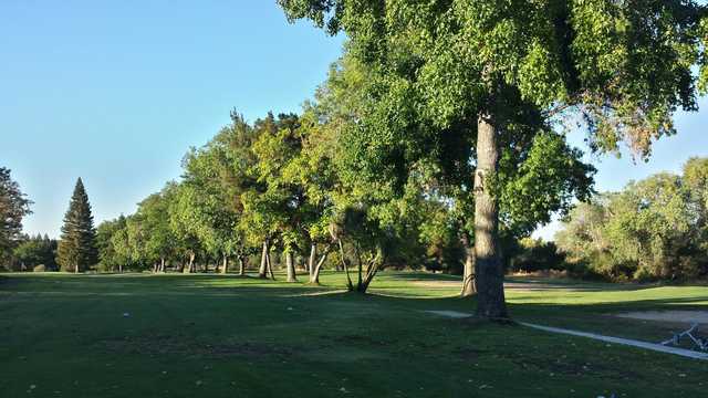 Rolling Greens - photo 2