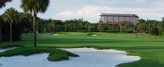 Disney's Palm Golf Course - photo 8