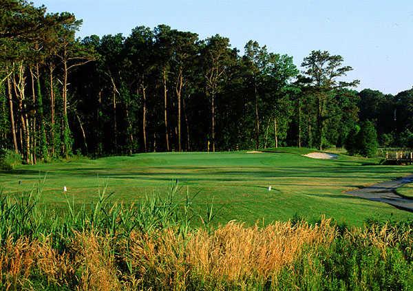 Eagle's Landing Golf Course - photo 3