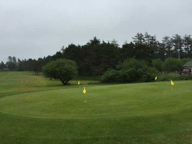 Manzanita Golf Course - photo 1