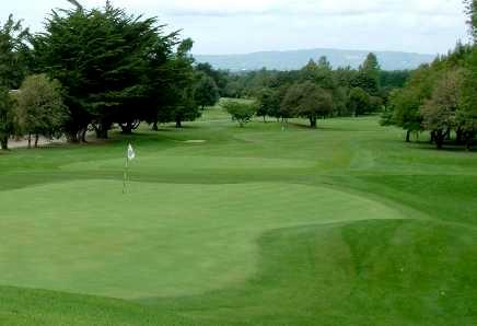 Limerick Golf Club - photo 5
