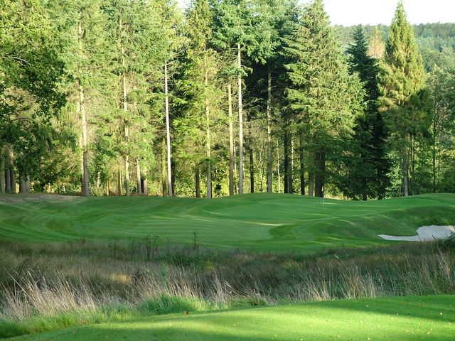 Remedy Oak Golf Club - photo 5