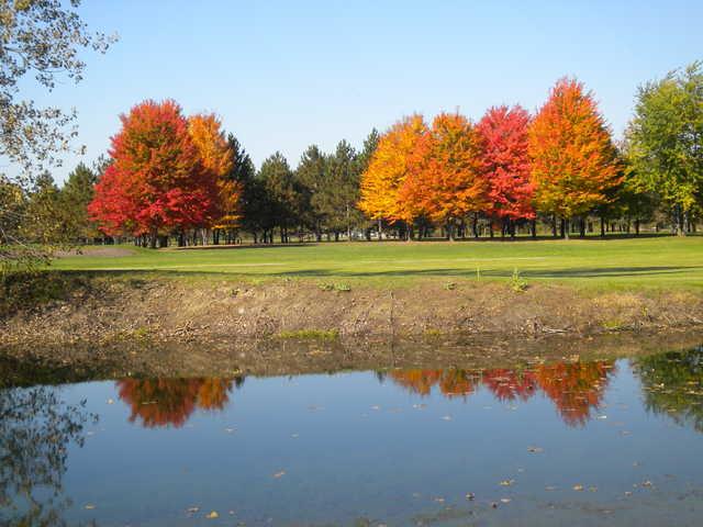 Willow Springs Golf and Country Club - photo 2