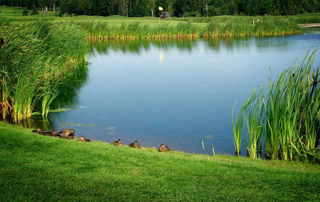 Clyde River Golf Club - photo 4