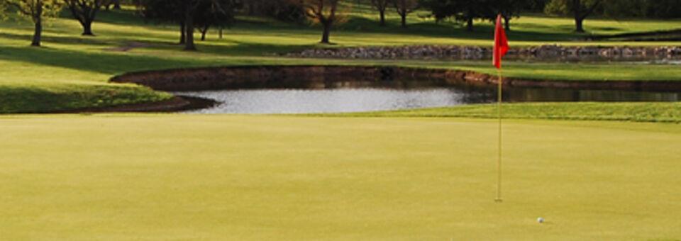 Fairfield Greens-South Trace - photo 2
