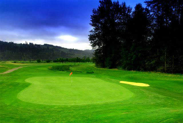 Sumner Meadows Golf Links - photo 4