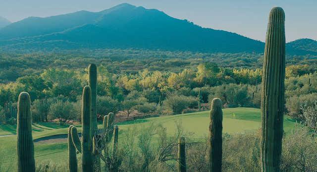Rancho Manana Golf Club - photo 4