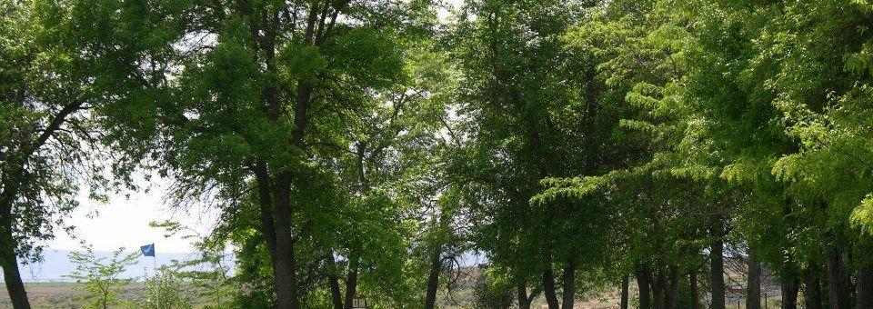 Sage Hills Golf and RV Resort - photo 5