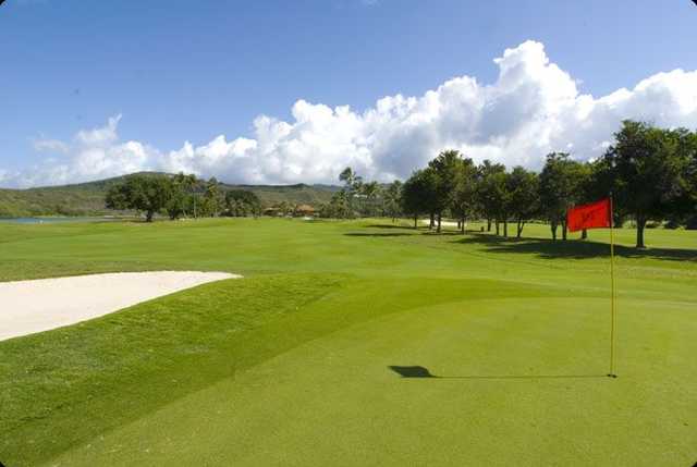 Honolulu Country Club - photo 4