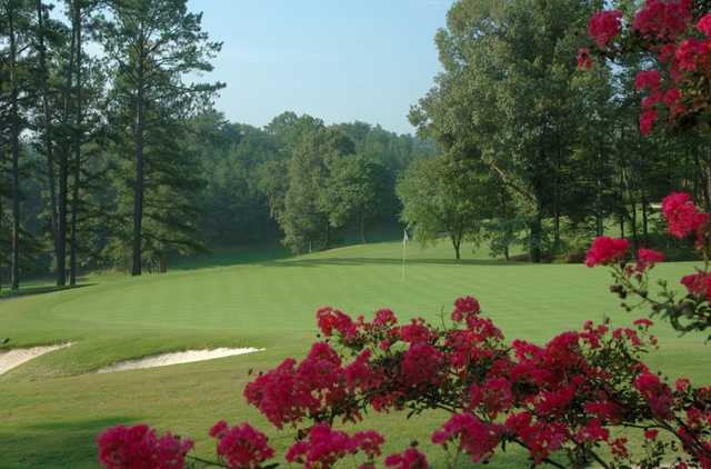 Pine Tree Country Club - photo 4