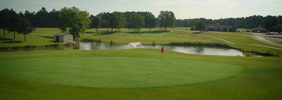Miller Memorial Golf Course - photo 6