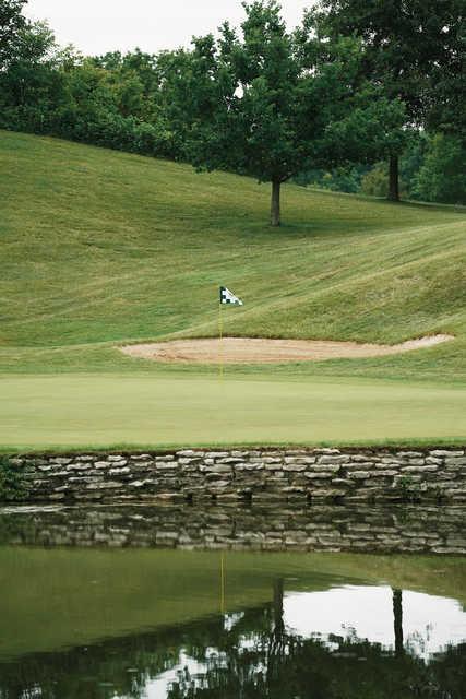 Eaglesticks Golf Club - photo 2