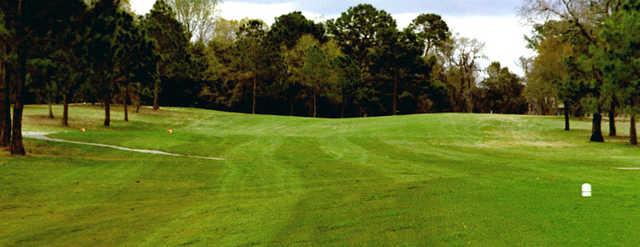 Spring Hill Golf and Country Club - photo 2
