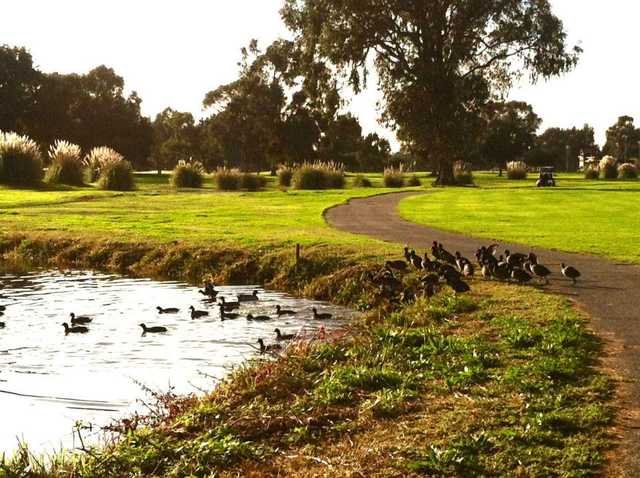 Corica Park - The jack Clark South Course - photo 3