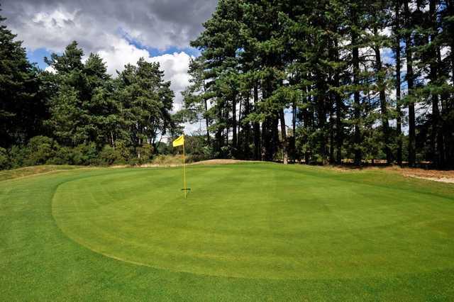 Ipswich Golf Club The Bixley Course - photo 7