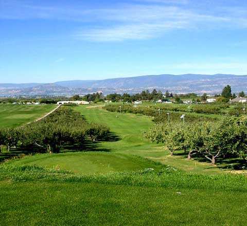 Orchard Greens Golf Club - photo 3