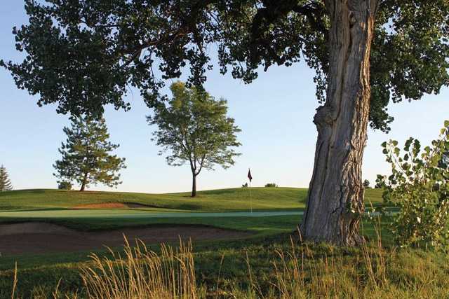 Ptarmigan Golf Course - photo 2