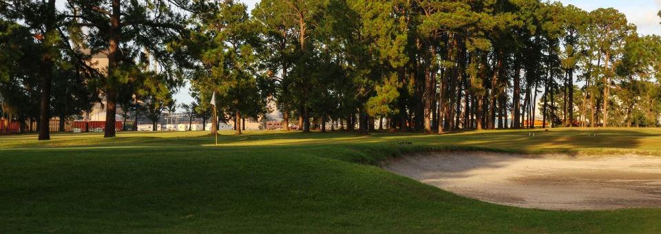 Mary Calder Golf Club - photo 3