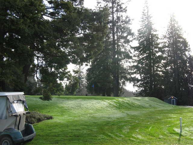 Grays Harbor Country Club - photo 3