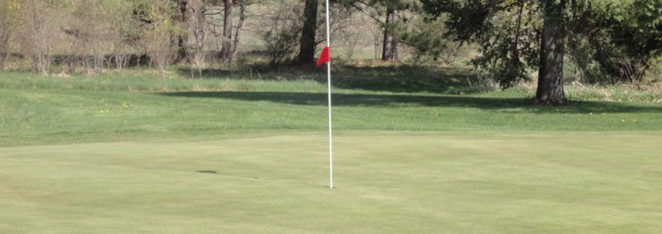 The Pines at Fairview - 9 Holes - photo 4
