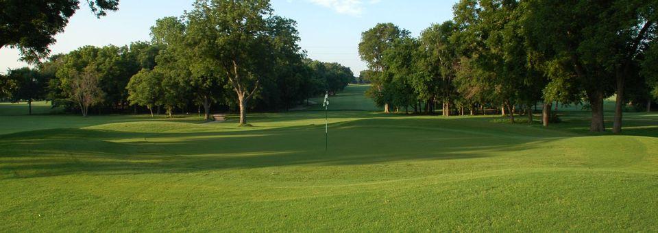 The Old Course - Firewheel Golf Park - photo 5