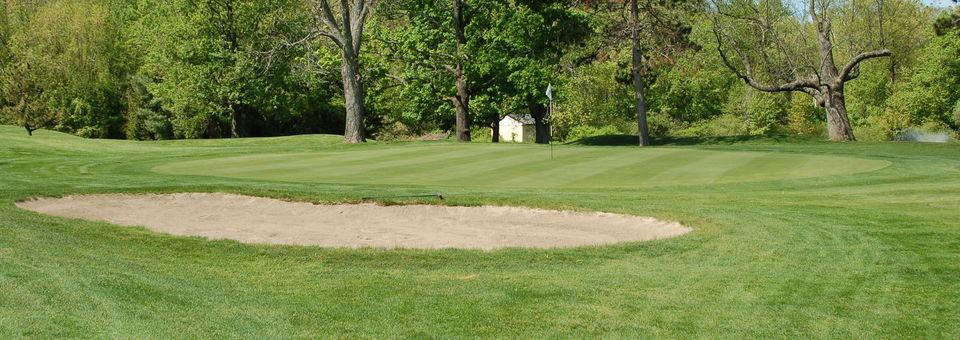 Louisquisset Golf Club - photo 5