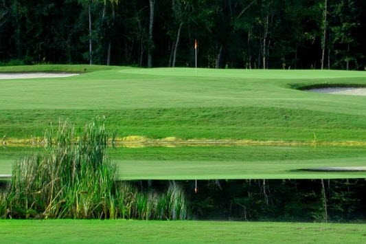 Meadowbrook Country Club - photo 3
