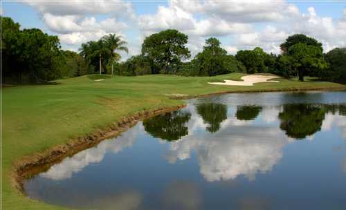 Meadows Course at The Meadows Country Club - photo 4