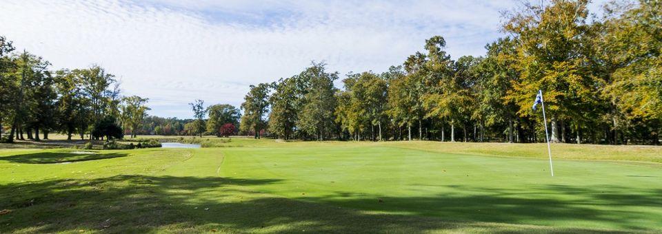 Bradford Creek Public Golf Course - photo 6