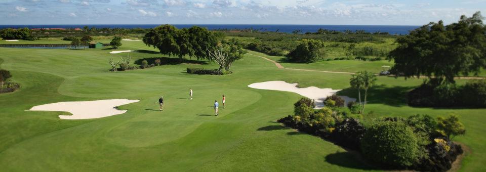 Kiahuna Golf Club - photo 7