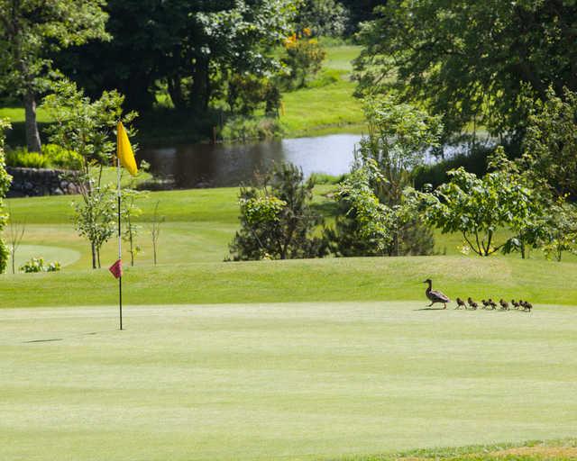 Portlethen Golf Club