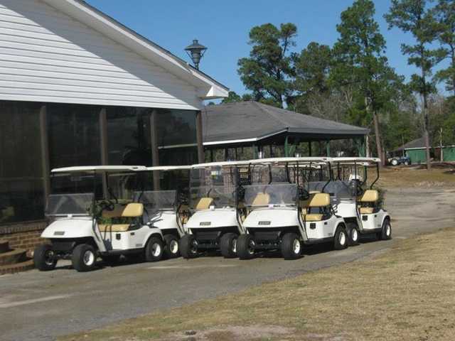 Pineland - photo 2
