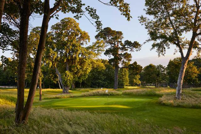Golf at Goodwood - The Copse Course - photo 5