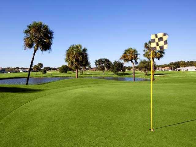 Falcon Watch Golf Club - photo 3