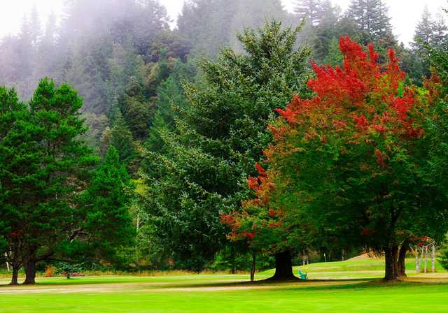 Cedar Bend