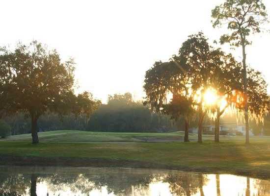 Babe Zaharias Golf Course Tampa - photo 5