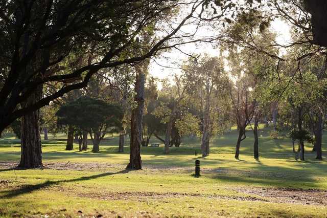 Wynnum Golf Club - photo 5