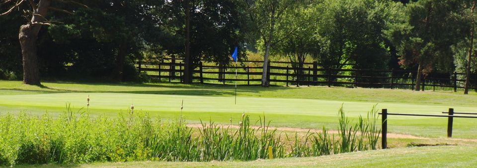 Wexham Park Golf Centre - Blue (main) Course - photo 7