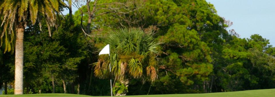 New Smyrna Golf Club - photo 4