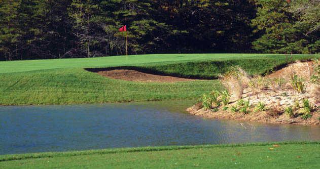 Pines at Clermont - photo 4