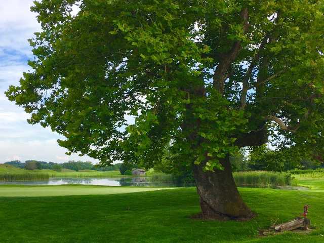 Cooks Creek Golf Club - photo 6