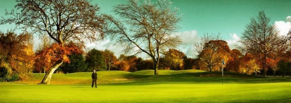 Westmanstown Golf Club - photo 4